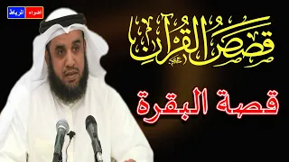 قصص القرآن قصة البقرة الشيخ نواف السالم شرح بطريقة جديدة ورائعة جدا 