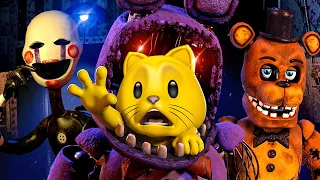FNAF 2 THE MOVIE All Nights 1-7 FULL GAME STUPID PrestonYT