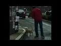 Guy and his jolly little dog walking through the Dunkin Donuts drive-thru