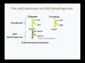 BICH 412 Lecture 3 GF 2024