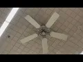 Hunter Original Hampton Bay Brookhurst Ceiling Fans at ACME Markets in Fort Lee NJ