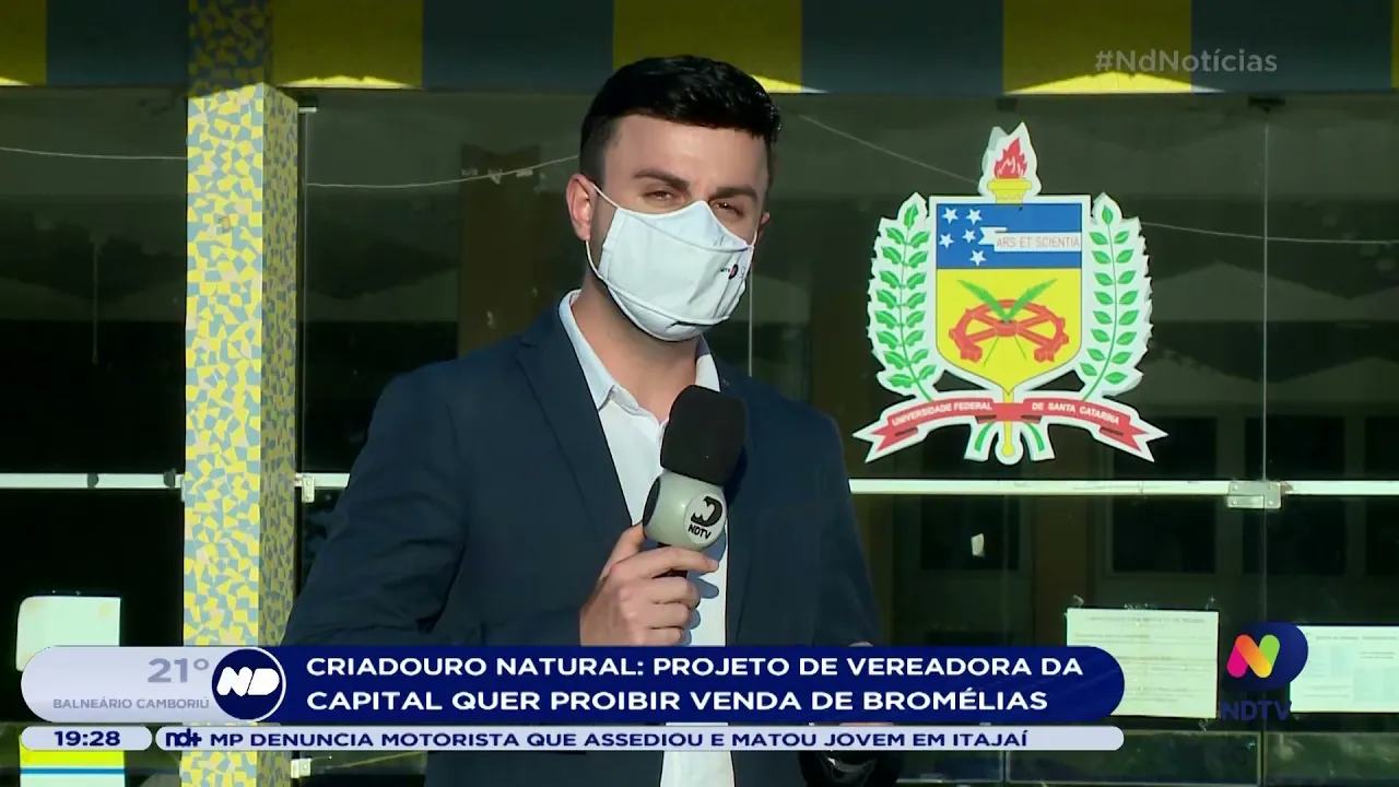 Casos confirmados e focos do mosquito da dengue aumentam em Santa Catarina