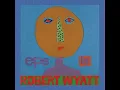 Shipbuilding (Remastered in 1998) - Robert Wyatt