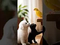 Download Lagu Curiosity Overload! 🤯 Puppy, Kitten \u0026 Canary First Meet! 🐦🐾 #shorts #cutepets