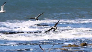 Верните молодость мою 