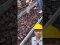 Download Lagu Cara Membuat Beton Untuk Jalan Setapak Di Taman #shorts