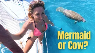 IT’S OVER… Found It After 3 Months Sailing Belize! 😲 | E.185