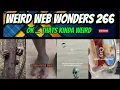 weird web wonders 266