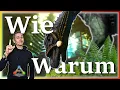 ARK Taming Guide Brontosaurus zahmen seine Fahigkeiten mit Humor