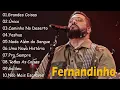 Download Lagu FERNANDINHO || Grandes Coisas , Único,..Melhores Hinos Cristãos de 2024 para Edificar sua Fé