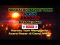 Download Lagu Kekuatan Harvey York Untuk Bangkit BAB 651-660