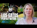 THIS IS Why Los Gatos is Silicon Valley s Most Beloved Small Town Exploring Los Gatos Hidden Gems