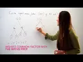 The Maths Prof Highest Common Factor HCF Greatest Common Factor GCF of 140 126