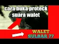 Download Lagu cara buka proteck suara walet