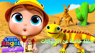 🐅أغنية الحيوانات حول العالم | أغاني تعليمية للأطفال باللغة العربية | Little Angel Arabic