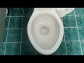 Menards restrooms