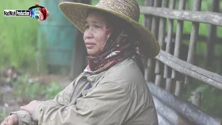 nasip ku gadius pilip