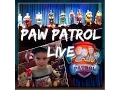 PAW PATROL LIVE | BRADEN'S BIRTHDAY PRESENT