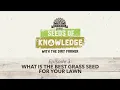 Seeds of Knowledge Grass Seed that will make your neighbors green with envy