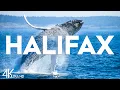 Top 10 Best Things to Do in Halifax Nova Scotia Halifax Travel Guide 2025
