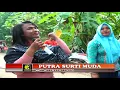 Download Lagu INDAH PADA WAKTUNYA- VOC. NOK IIL– PUTRA SURTI MUDA – 12 APRIL 2018 – SUMBON ( ARYA PRODUCTION )