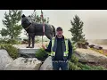 Another Wolf Sculpture Has Arrived in Wolf Willow