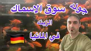 سوق الاسماك في المانيا اغرب الاسماك اغرب سلحفات دندنها