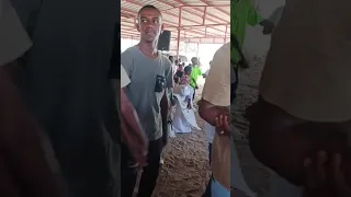 الفنان الصاعد بسرعة البرق محمد جمال صدام نواري اغاني رطانة حلفاوين محس دناقلة سكوت هجيح 