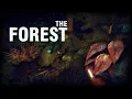 The Forest How to get the Modern Bow