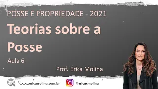 AULA 6 - TEORIAS SOBRE A POSSE
