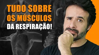 VOCÊ SABE QUAIS SÃO OS MÚSCULOS RESPIRATÓRIOS?