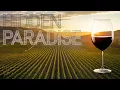 Why Santa Ynez Is California s Most Underrated Wine Region