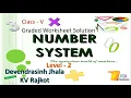 NCERT V Solution for Maths Graded Worksheet of Number System Level - 2
