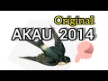 Download Lagu Suara Inap AKAU 2014 abt.original