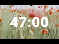 47 Minute Timer with Soothing Music Stress Relief Countdown Clock