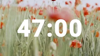 47 Minute Timer with Soothing Music Stress Relief Countdown Clock