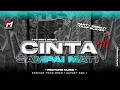 Download Lagu DJ CINTA SAMPAI MATI || FYP TIKTOK JINGLE PEMUDA 23 TAWANGSARI PUJON BY GAPRET RMX