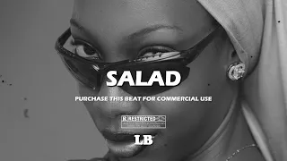 Afrobeat Instrumental 2025 Burna Boy Ft Omah Lay Type Beat SALAD Emotional Afrobeat TypeBeat 