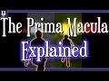 Unraveling the Prima Macula through Alchemy A Plague Tale Analysis