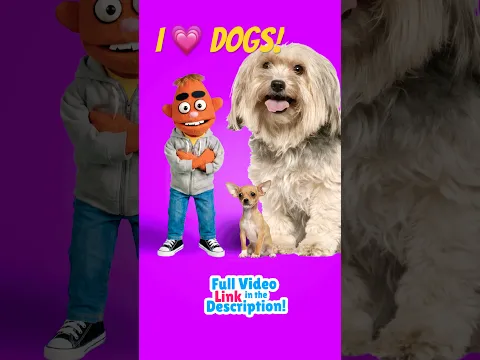 I Love Dogs 🐶 ❤️ | Animal Songs for Kids