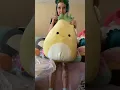 Huge squishmallow haul 24 inch MAUI
