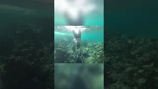 San Blas Cave Explore: Underwater Adventure You Won’t Believe!