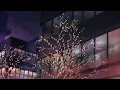 【CM映像】リナリア / ChroNoiR