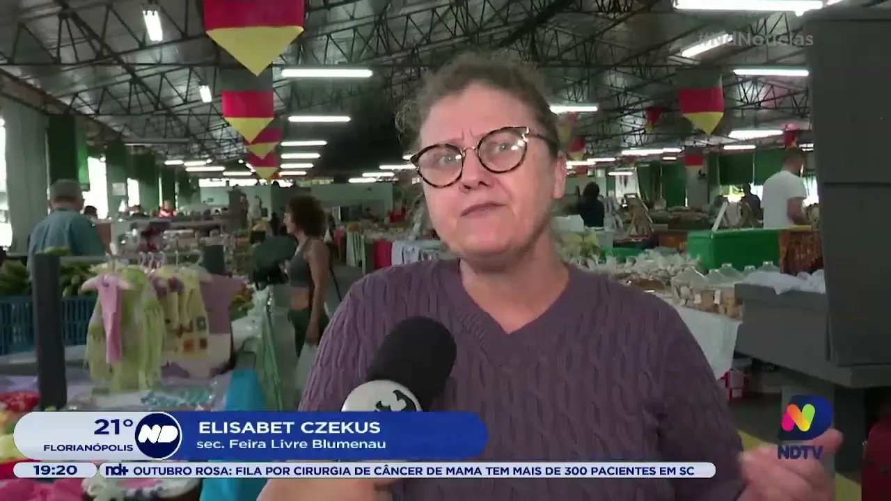 Vigilância Sanitária realiza ações contra a proliferação de pombos em Blumenau