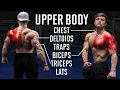 The Best Full UPPER BODY Workout For Max Muscle Growth Science Applied