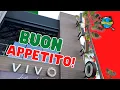 Discover the Authentic Taste of Italy at Vivo Italian Kitchen at Universal Citywalk - Food Review