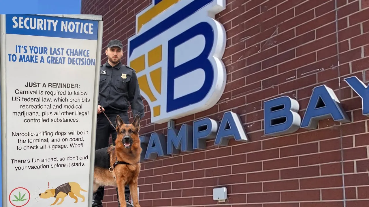 TAMPA BAY CRUISE PORT - WHAT YOU NEED TO KNOW ABOUT SECURITY, PARKING & BOARDING!