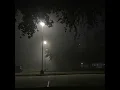 velours, azrxel - lilacs (slowed x reverb)