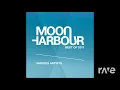 Wormhole Tide - Frivolous & Waff | RaveDj