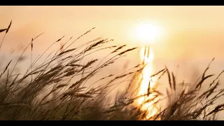 انقلاب رمل الماية رايت الرياض 